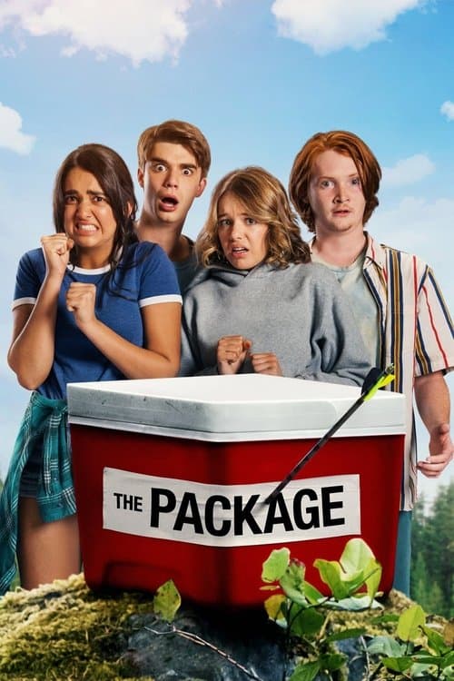 The Package (2018) movie poster - 58% on Rotten Tweets