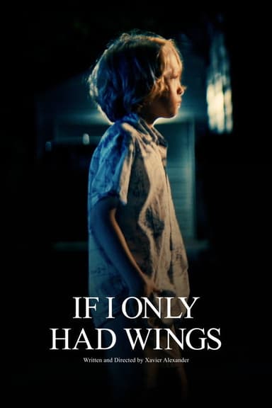 If I Only Had Wings (2026) movie poster