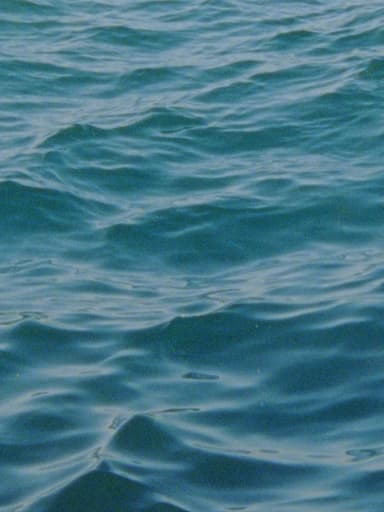 Water Diary (2026) movie poster