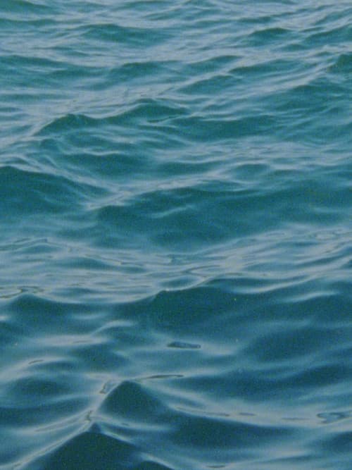 Water Diary (2026) movie poster - 50% on Rotten Tweets