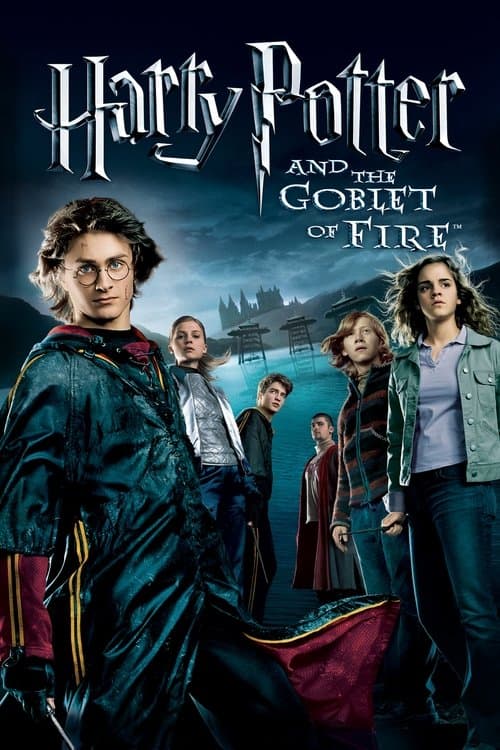 Harry Potter and the Goblet of Fire (2005) movie poster - 67% on Rotten Tweets