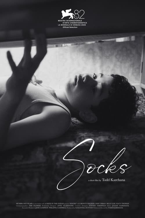 Socks (2026) movie poster