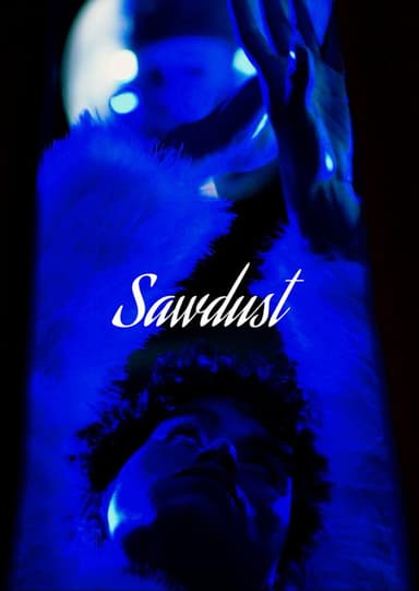 Sawdust (2026) movie poster