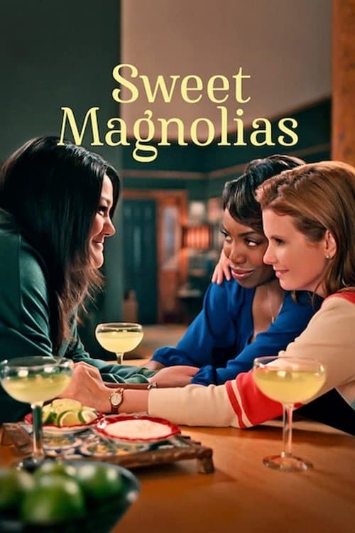 Sweet Magnolias (2020) TV show poster