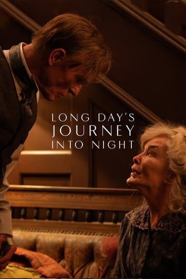 Long Day's Journey into Night (2026) movie poster