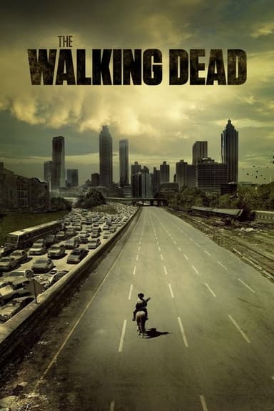 The Walking Dead (2010) TV show poster