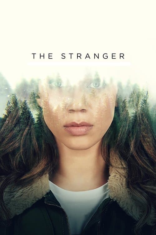 The Stranger (2020) TV show poster