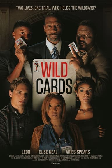 Wildcards (2026) movie poster