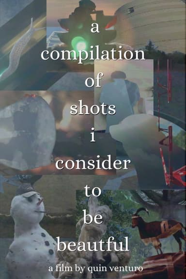 A Compilation Of Shots I Consider To Be Beautiful (2026) movie poster