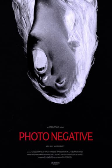 Photo Negative (2026) movie poster