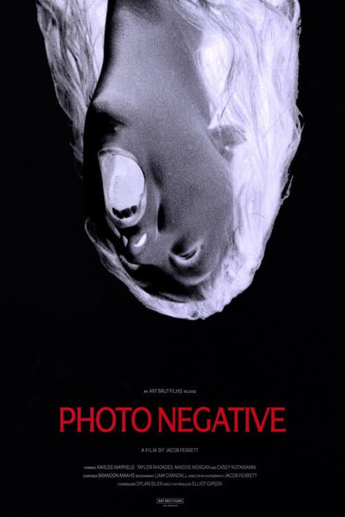 Photo Negative (2026) movie poster