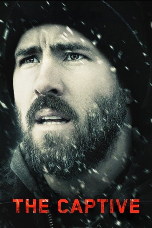 The Captive (2014) movie poster