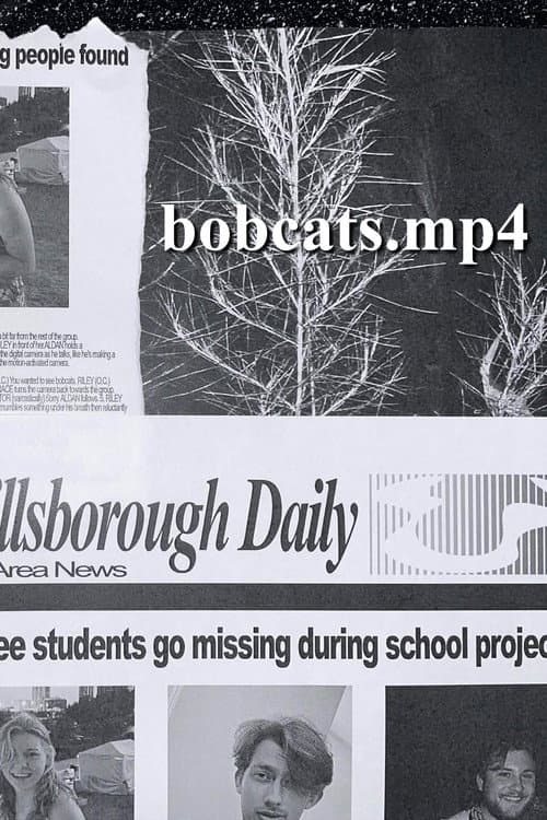 bobcats.mp4 (2026) movie poster